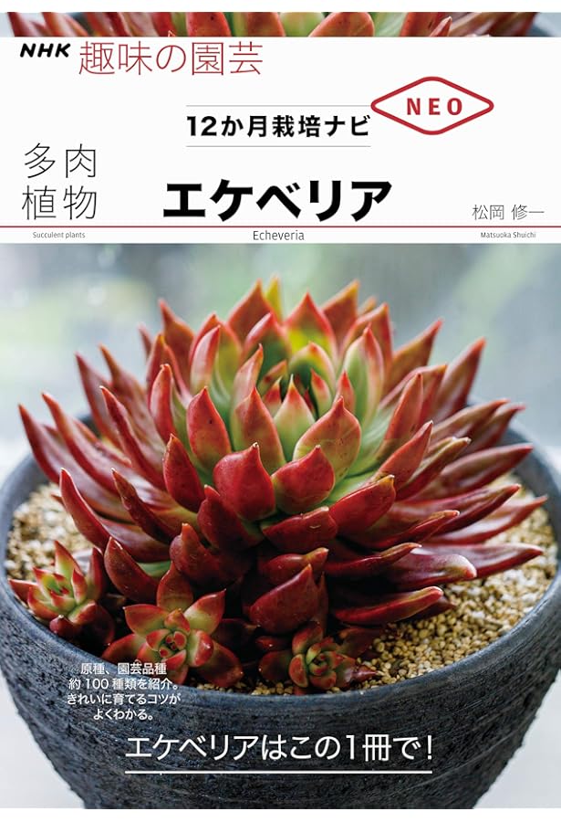 多肉植物エケベリア Guide To Echeveria | サボテン相談室 羽兼直行